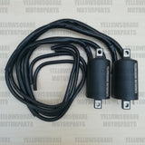 Ignition Coil x2 Suzuki GSX400 GSX 400 (1981-1983)