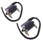 Ignition Coil x2: Kawasaki VN900 VN 900 (2006-2016)