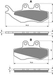 Plaquettes de frein avant Goldfren AD : Yamaha TZR50 TZR 50 (2003-2012)
