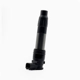Ignition Stick Coil: KTM Super Adventure 1290 (2015-2020)