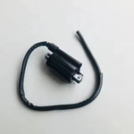 Ignition Coil: Suzuki EN125 EN 125 (2005)