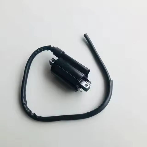Ignition Coil: Suzuki EN125 EN 125 (2005)