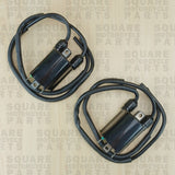 Bobine d'allumage x2 Kawasaki GPX600 GPX 600 (1988-1996)