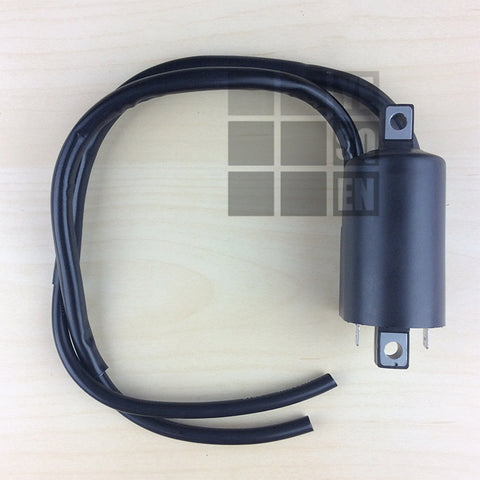 Bobine d'allumage Kawasaki KR1 KR 1 (1989-1991)